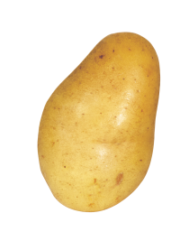 Jazzy Potato